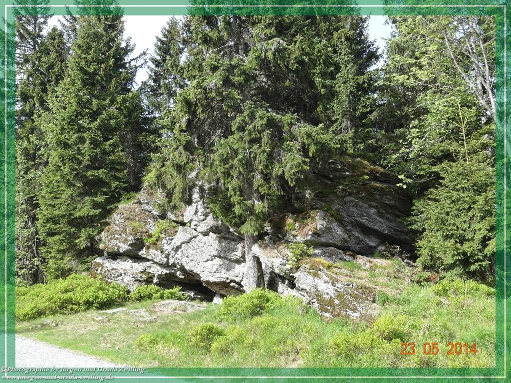 Philosophische Bildwanderung Brennes - Großer Arber - Kleiner Arber - Kleiner Arbersee – Mooshütte - Brennes - Bayerischer Wald