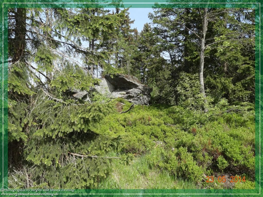 Philosophische Bildwanderung Brennes - Großer Arber - Kleiner Arber - Kleiner Arbersee – Mooshütte - Brennes - Bayerischer Wald