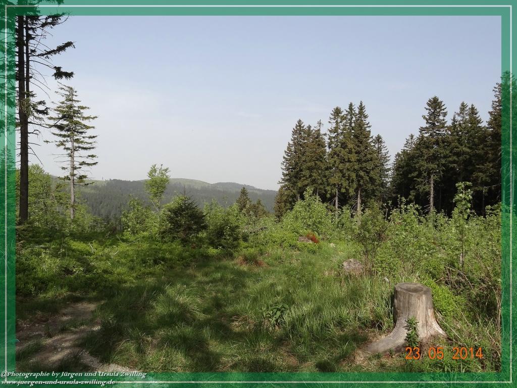 Philosophische Bildwanderung Brennes - Großer Arber - Kleiner Arber - Kleiner Arbersee – Mooshütte - Brennes - Bayerischer Wald