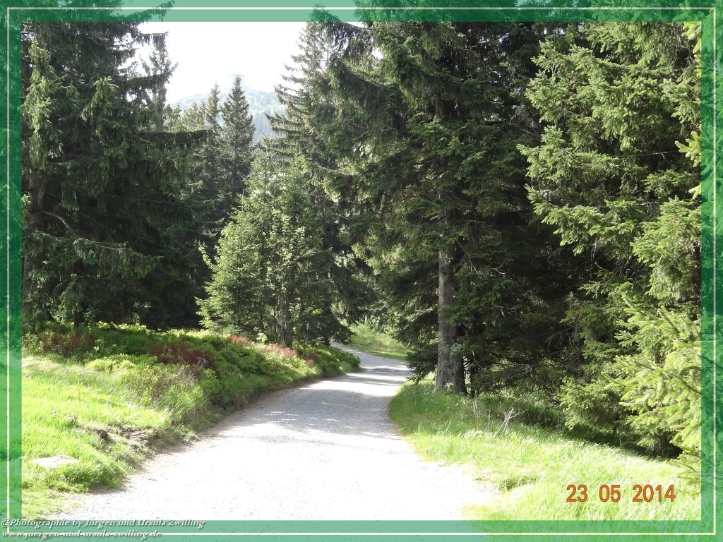 Philosophische Bildwanderung Brennes - Großer Arber - Kleiner Arber - Kleiner Arbersee – Mooshütte - Brennes - Bayerischer Wald