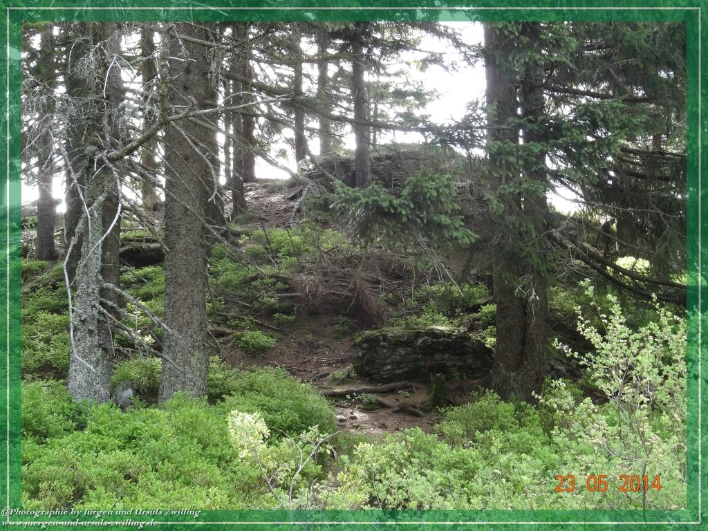 Philosophische Bildwanderung Brennes - Großer Arber - Kleiner Arber - Kleiner Arbersee – Mooshütte - Brennes - Bayerischer Wald