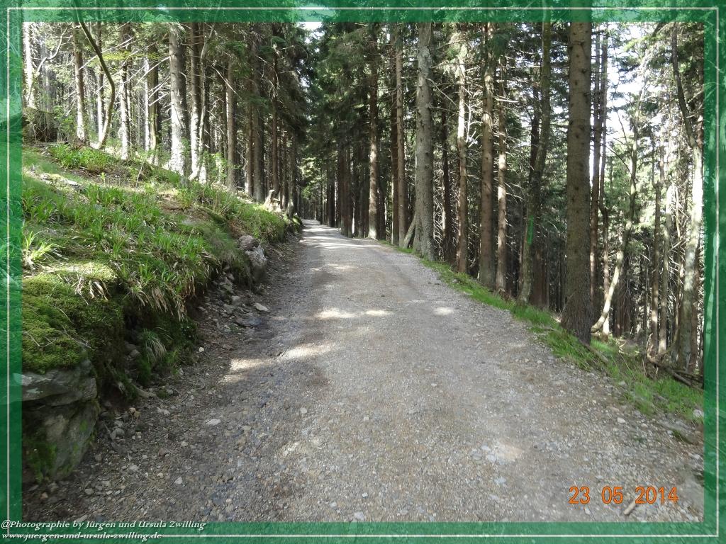 Philosophische Bildwanderung Brennes - Großer Arber - Kleiner Arber - Kleiner Arbersee – Mooshütte - Brennes - Bayerischer Wald