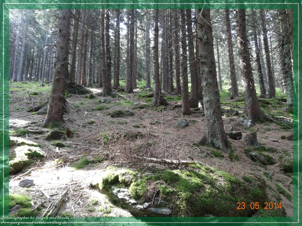 Philosophische Bildwanderung Brennes - Großer Arber - Kleiner Arber - Kleiner Arbersee – Mooshütte - Brennes - Bayerischer Wald