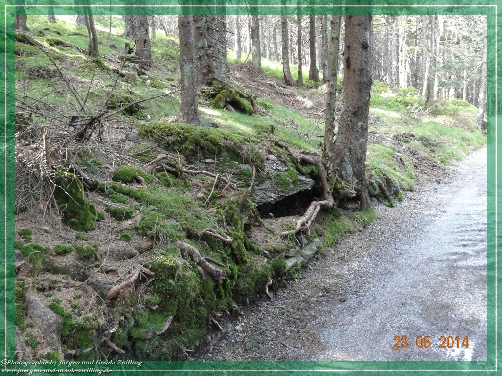 Philosophische Bildwanderung Brennes - Großer Arber - Kleiner Arber - Kleiner Arbersee – Mooshütte - Brennes - Bayerischer Wald