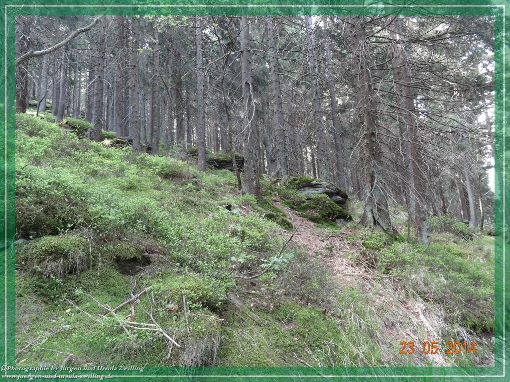 Philosophische Bildwanderung Brennes - Großer Arber - Kleiner Arber - Kleiner Arbersee – Mooshütte - Brennes - Bayerischer Wald