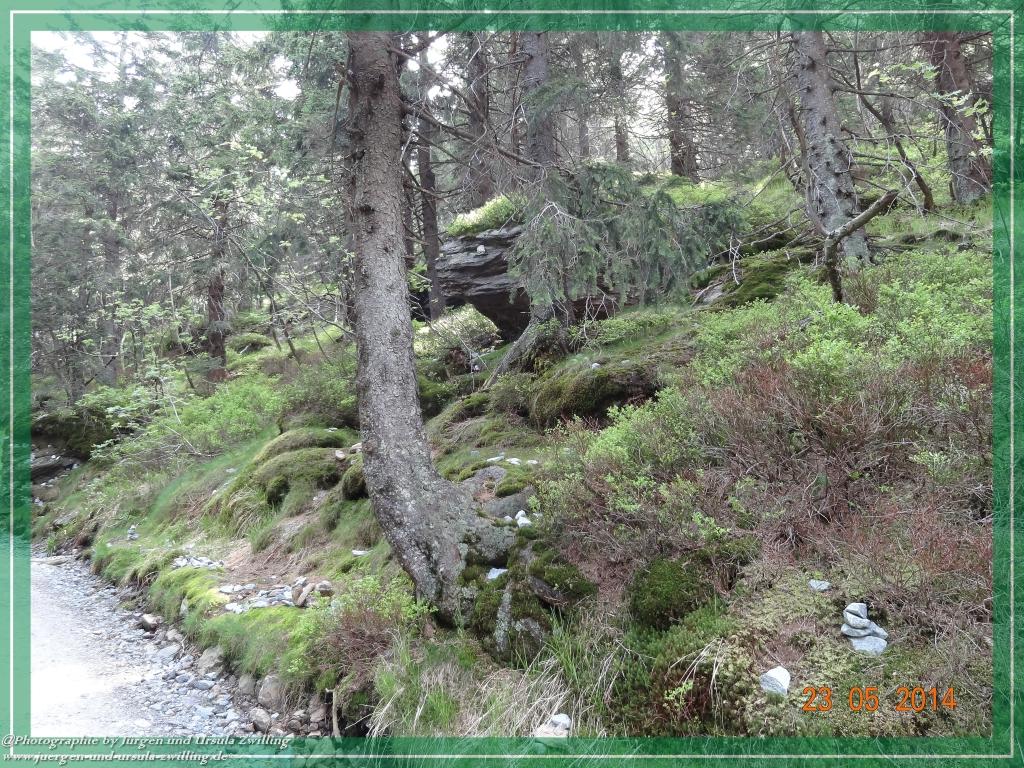Philosophische Bildwanderung Brennes - Großer Arber - Kleiner Arber - Kleiner Arbersee – Mooshütte - Brennes - Bayerischer Wald