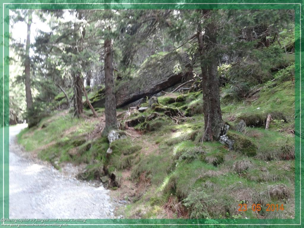 Philosophische Bildwanderung Brennes - Großer Arber - Kleiner Arber - Kleiner Arbersee – Mooshütte - Brennes - Bayerischer Wald