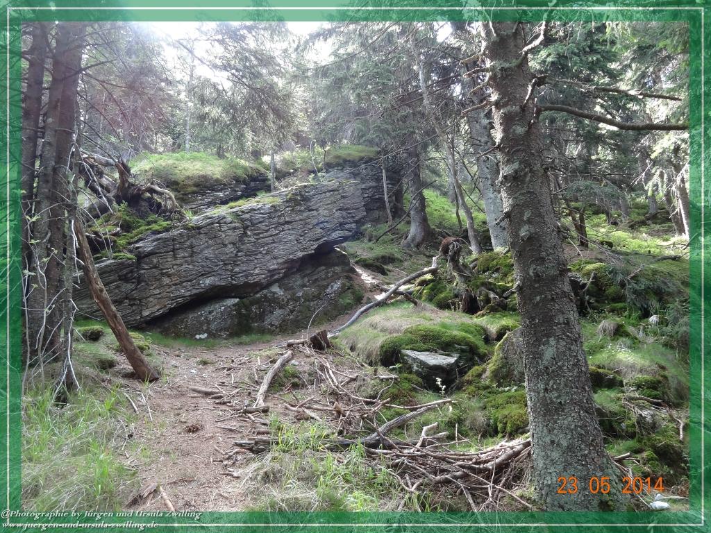 Philosophische Bildwanderung Brennes - Großer Arber - Kleiner Arber - Kleiner Arbersee – Mooshütte - Brennes - Bayerischer Wald