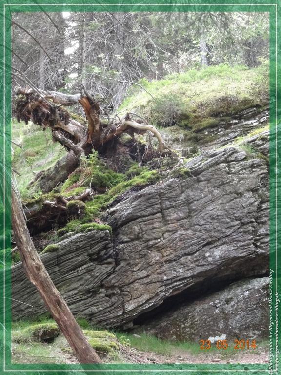 Philosophische Bildwanderung Brennes - Großer Arber - Kleiner Arber - Kleiner Arbersee – Mooshütte - Brennes - Bayerischer Wald