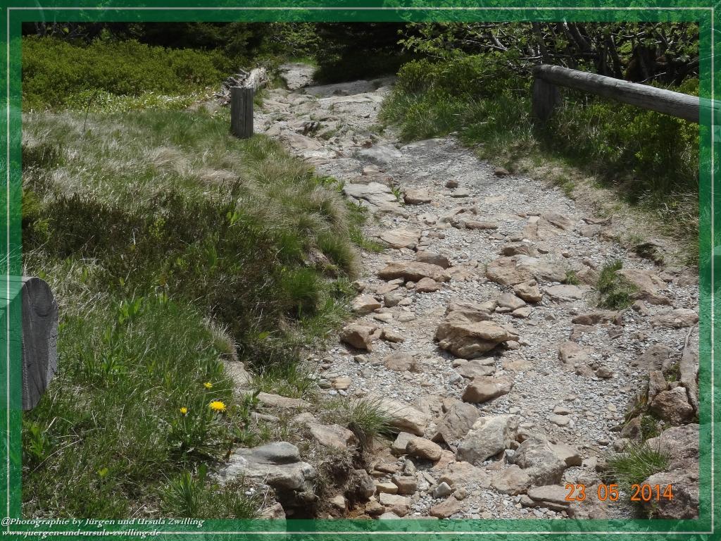 Philosophische Bildwanderung Brennes - Großer Arber - Kleiner Arber - Kleiner Arbersee – Mooshütte - Brennes - Bayerischer Wald