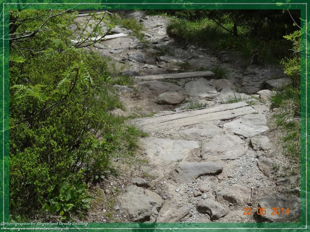 Philosophische Bildwanderung Brennes - Großer Arber - Kleiner Arber - Kleiner Arbersee – Mooshütte - Brennes - Bayerischer Wald