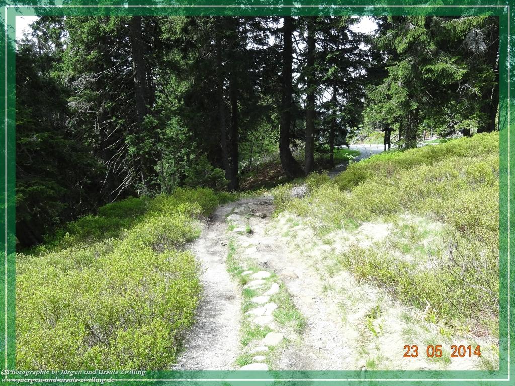 Philosophische Bildwanderung Brennes - Großer Arber - Kleiner Arber - Kleiner Arbersee – Mooshütte - Brennes - Bayerischer Wald