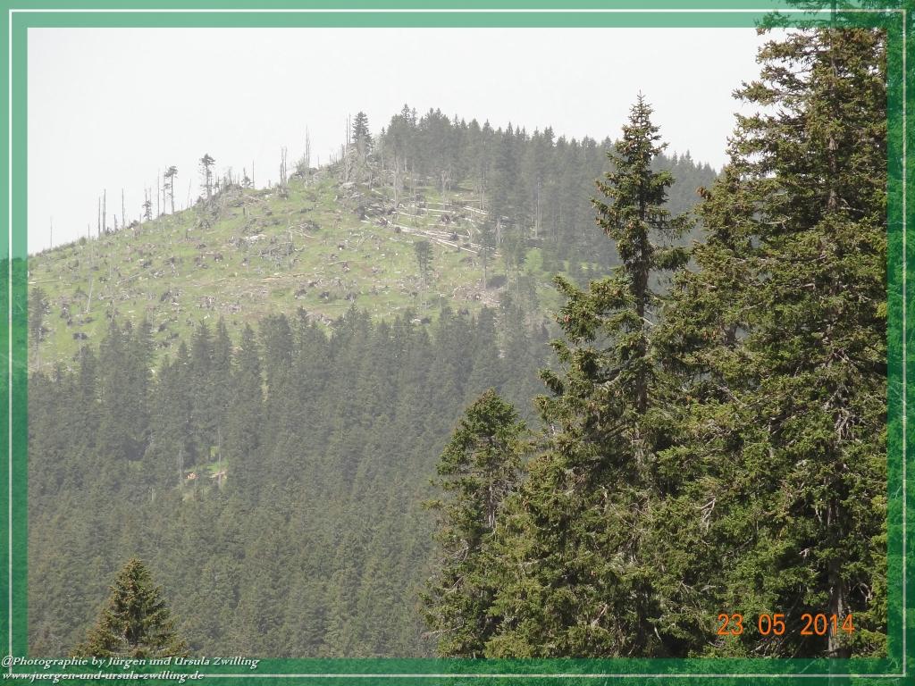 Philosophische Bildwanderung Brennes - Großer Arber - Kleiner Arber - Kleiner Arbersee – Mooshütte - Brennes - Bayerischer Wald