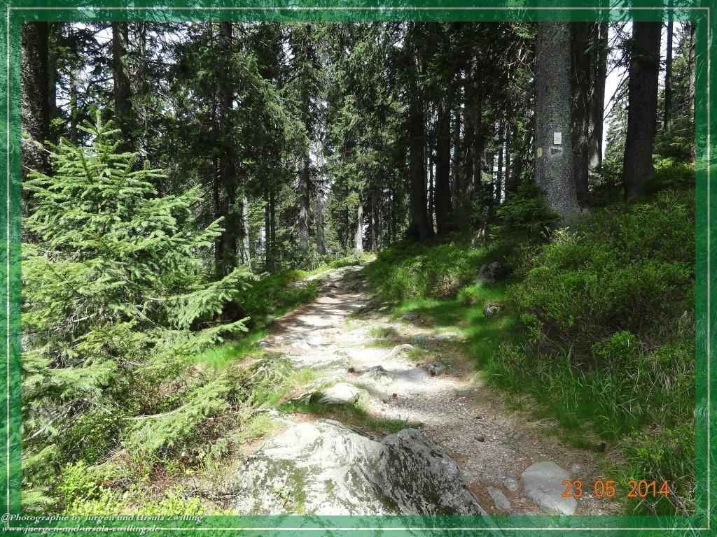 Philosophische Bildwanderung Brennes - Großer Arber - Kleiner Arber - Kleiner Arbersee – Mooshütte - Brennes - Bayerischer Wald