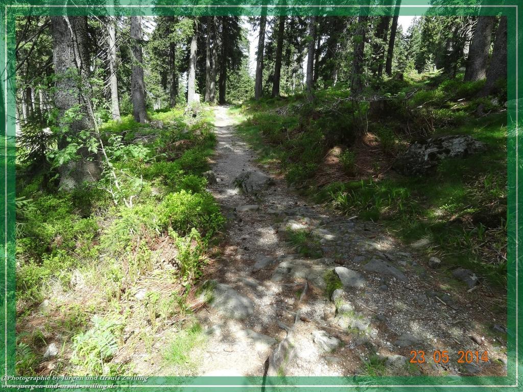 Philosophische Bildwanderung Brennes - Großer Arber - Kleiner Arber - Kleiner Arbersee – Mooshütte - Brennes - Bayerischer Wald