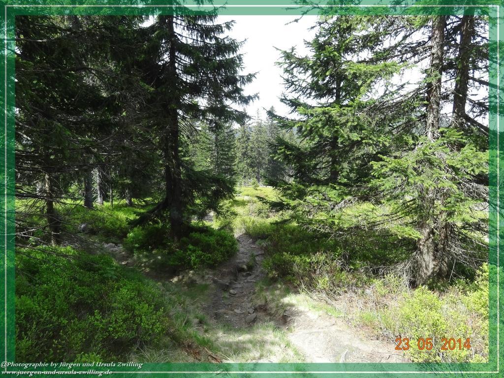 Philosophische Bildwanderung Brennes - Großer Arber - Kleiner Arber - Kleiner Arbersee – Mooshütte - Brennes - Bayerischer Wald
