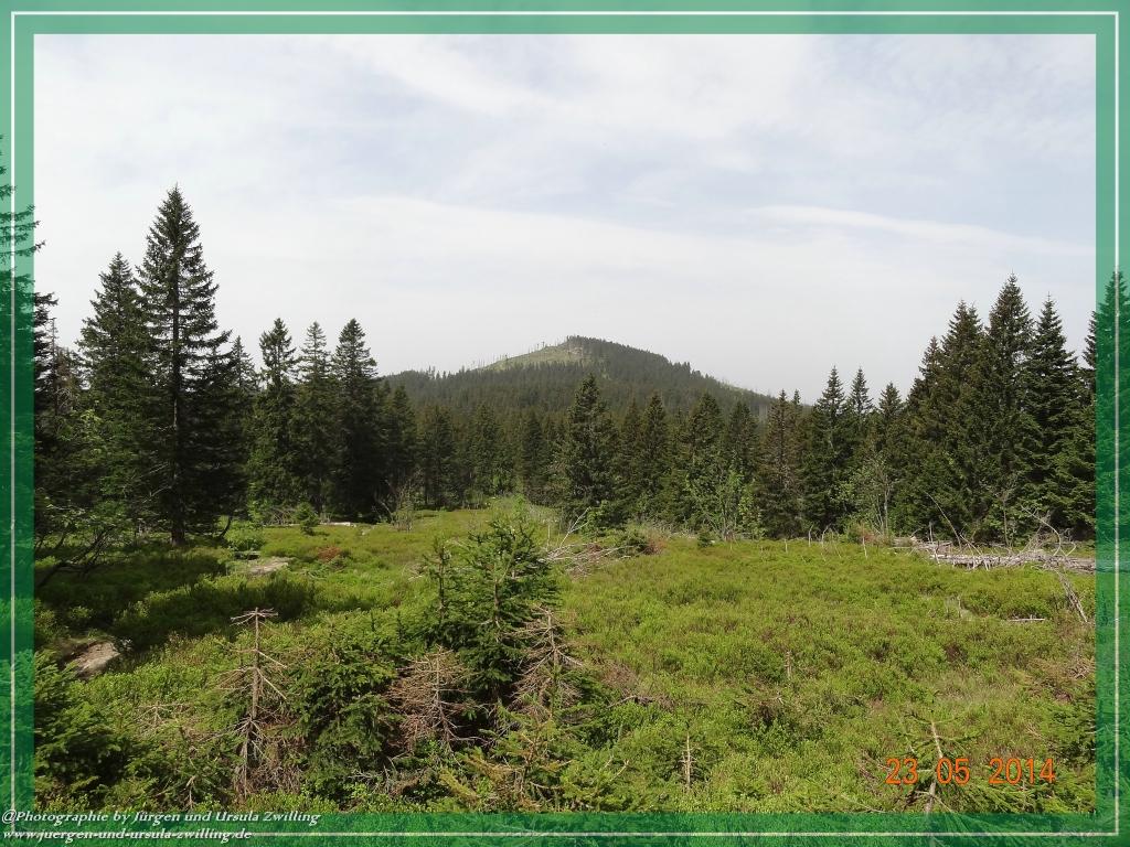 Philosophische Bildwanderung Brennes - Großer Arber - Kleiner Arber - Kleiner Arbersee – Mooshütte - Brennes - Bayerischer Wald