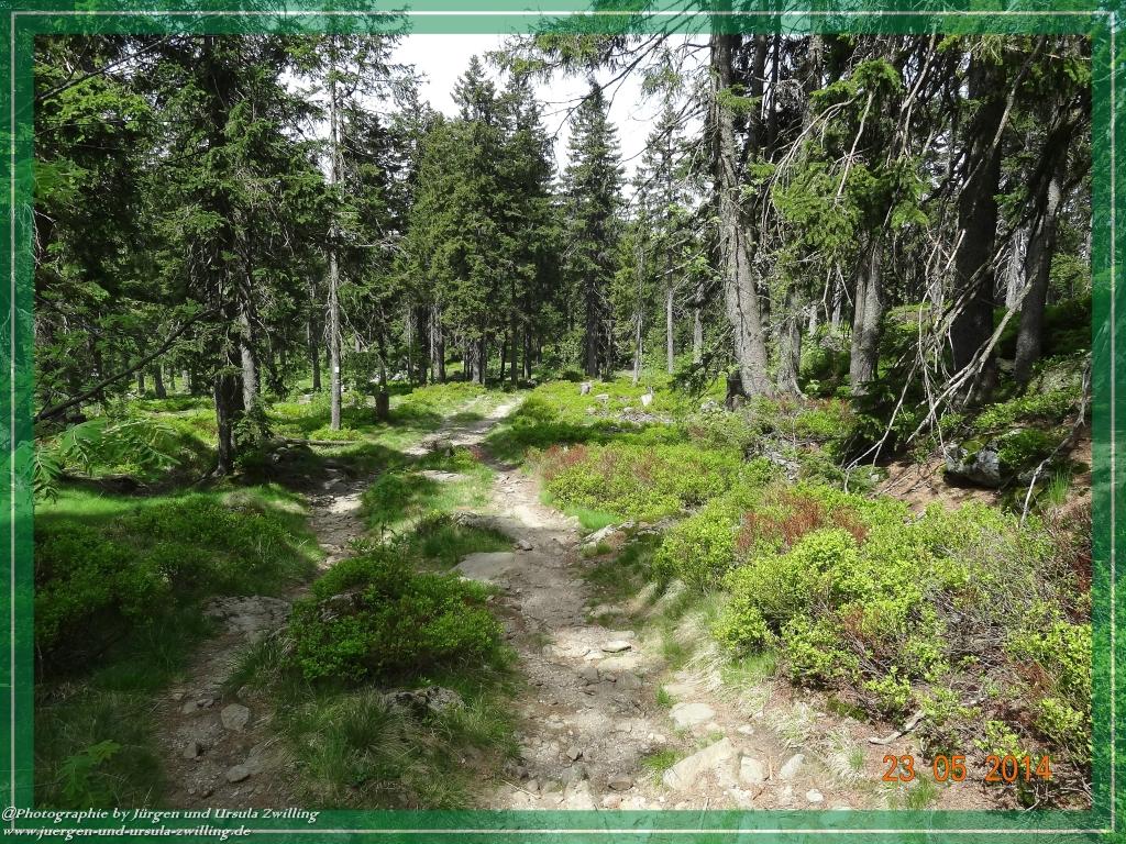 Philosophische Bildwanderung Brennes - Großer Arber - Kleiner Arber - Kleiner Arbersee – Mooshütte - Brennes - Bayerischer Wald