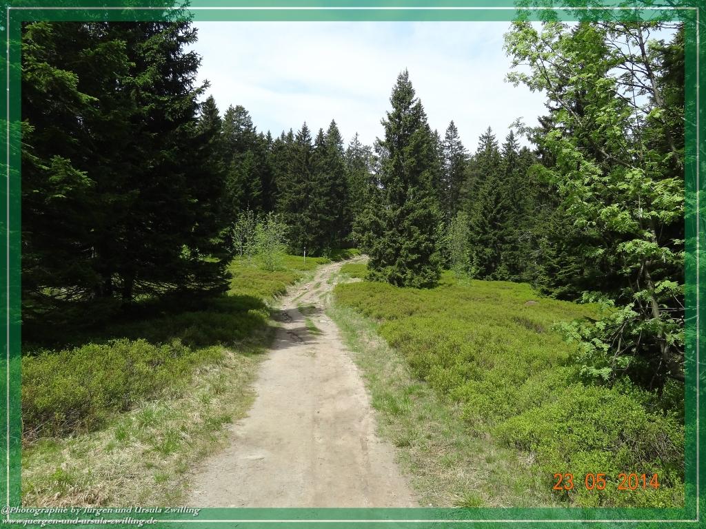 Philosophische Bildwanderung Brennes - Großer Arber - Kleiner Arber - Kleiner Arbersee – Mooshütte - Brennes - Bayerischer Wald