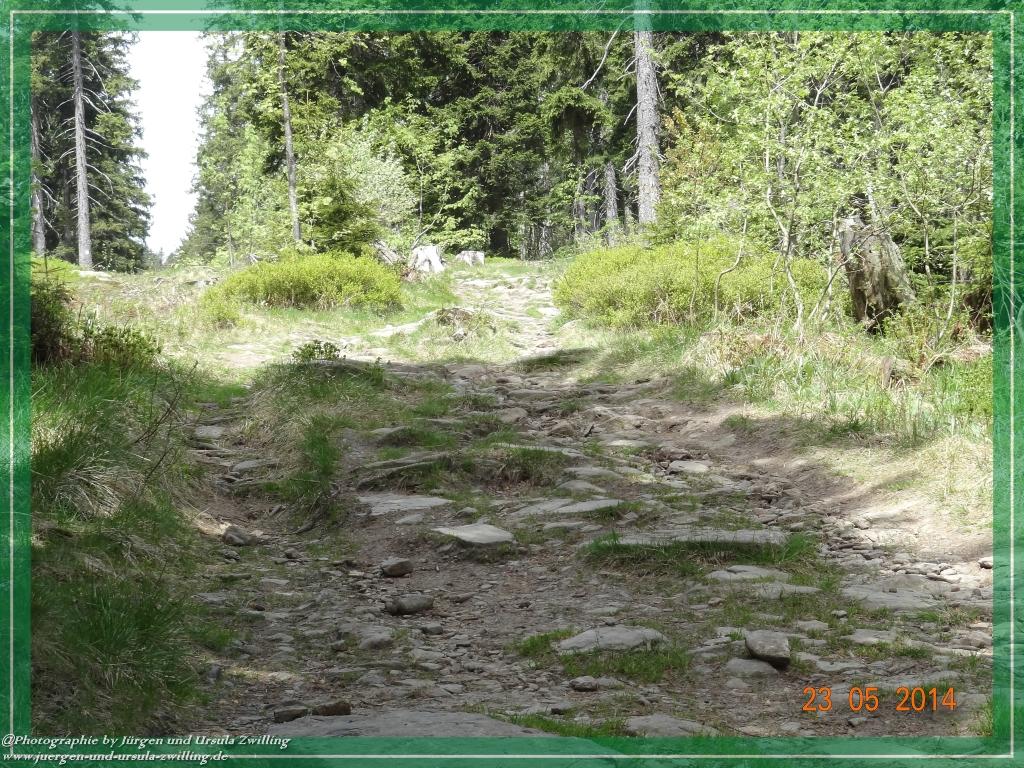 Philosophische Bildwanderung Brennes - Großer Arber - Kleiner Arber - Kleiner Arbersee – Mooshütte - Brennes - Bayerischer Wald