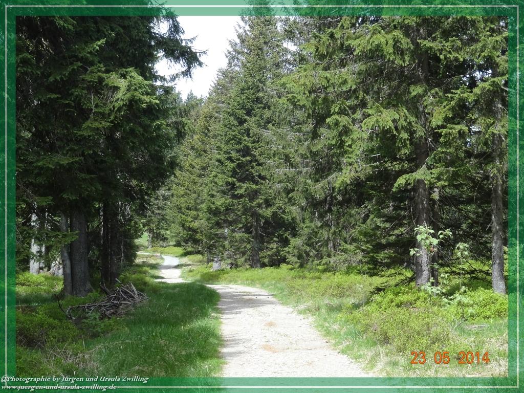 Philosophische Bildwanderung Brennes - Großer Arber - Kleiner Arber - Kleiner Arbersee – Mooshütte - Brennes - Bayerischer Wald