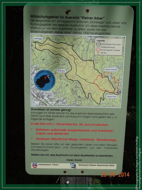 Philosophische Bildwanderung Brennes - Großer Arber - Kleiner Arber - Kleiner Arbersee – Mooshütte - Brennes - Bayerischer Wald