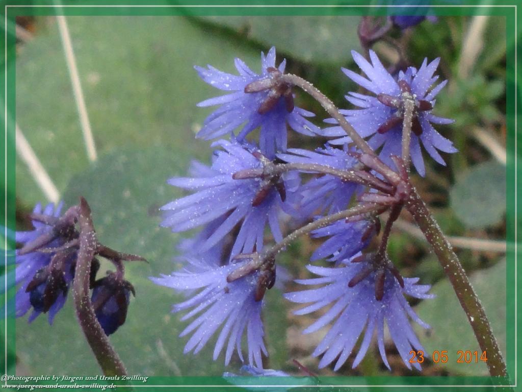 Philosophische Bildwanderung Brennes - Großer Arber - Kleiner Arber - Kleiner Arbersee – Mooshütte - Brennes - Bayerischer Wald