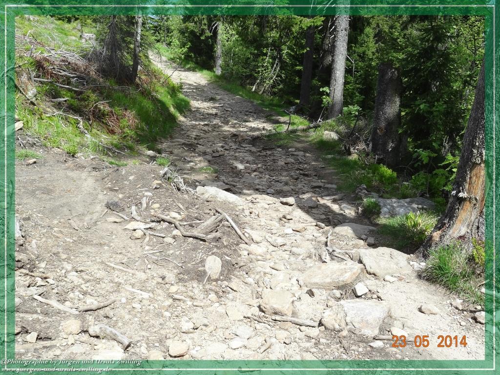 Philosophische Bildwanderung Brennes - Großer Arber - Kleiner Arber - Kleiner Arbersee – Mooshütte - Brennes - Bayerischer Wald
