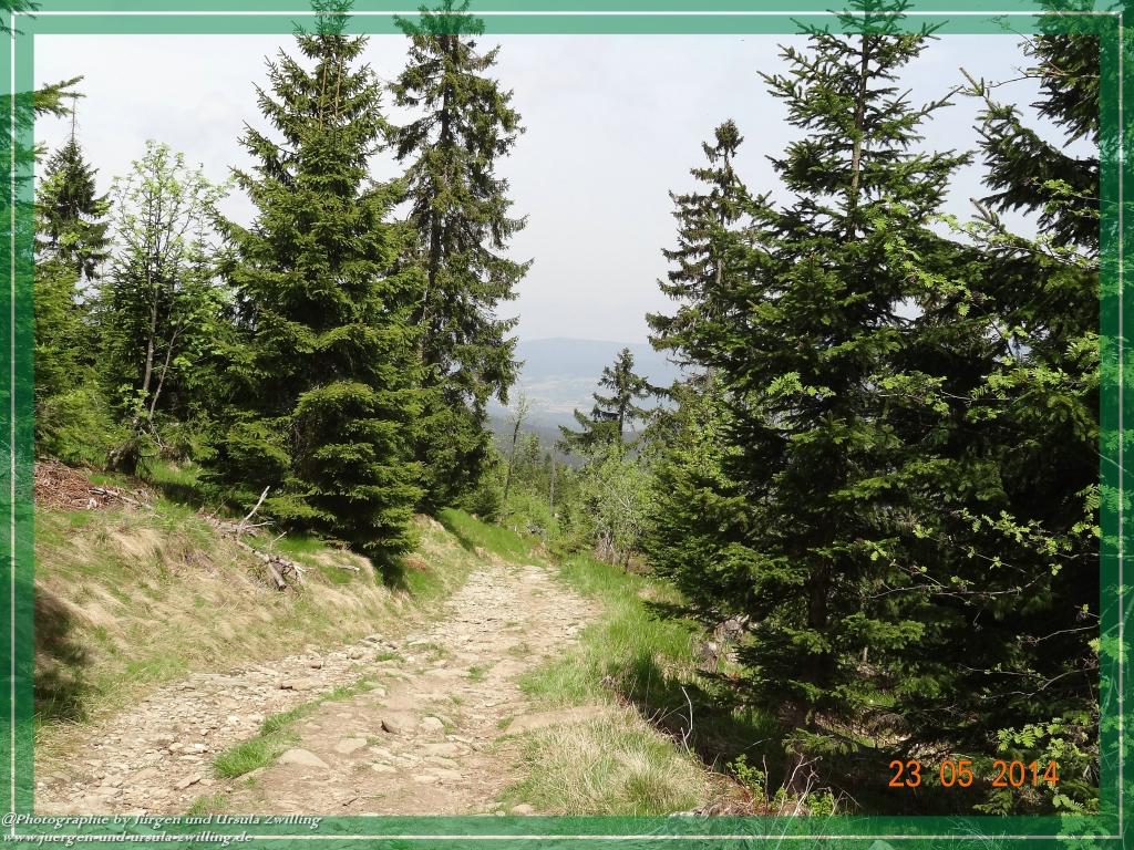 Philosophische Bildwanderung Brennes - Großer Arber - Kleiner Arber - Kleiner Arbersee – Mooshütte - Brennes - Bayerischer Wald