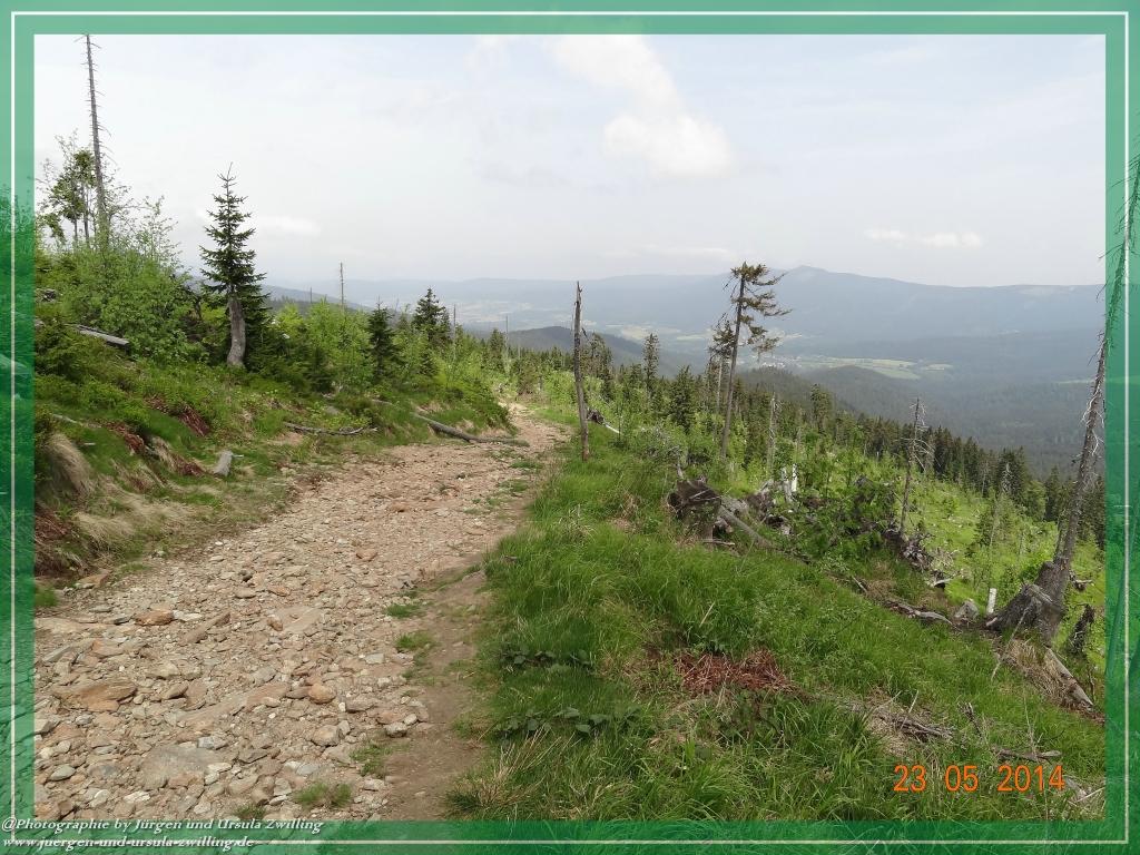 Philosophische Bildwanderung Brennes - Großer Arber - Kleiner Arber - Kleiner Arbersee – Mooshütte - Brennes - Bayerischer Wald