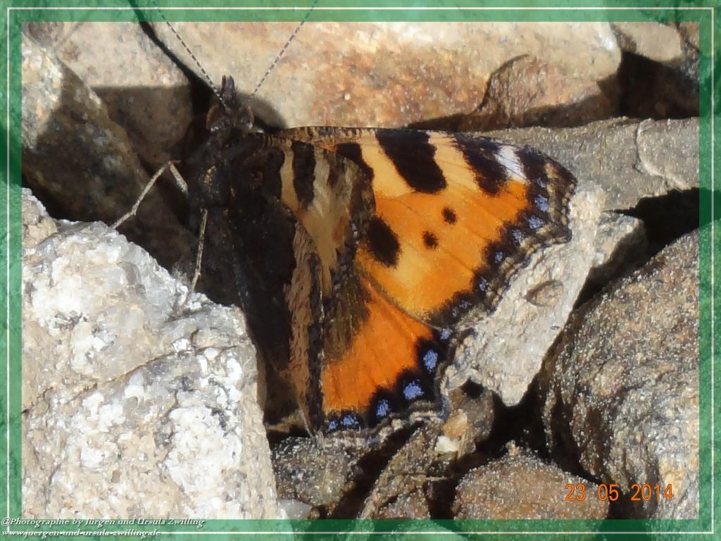 Philosophische Bildwanderung Brennes - Großer Arber - Kleiner Arber - Kleiner Arbersee – Mooshütte - Brennes - Bayerischer Wald