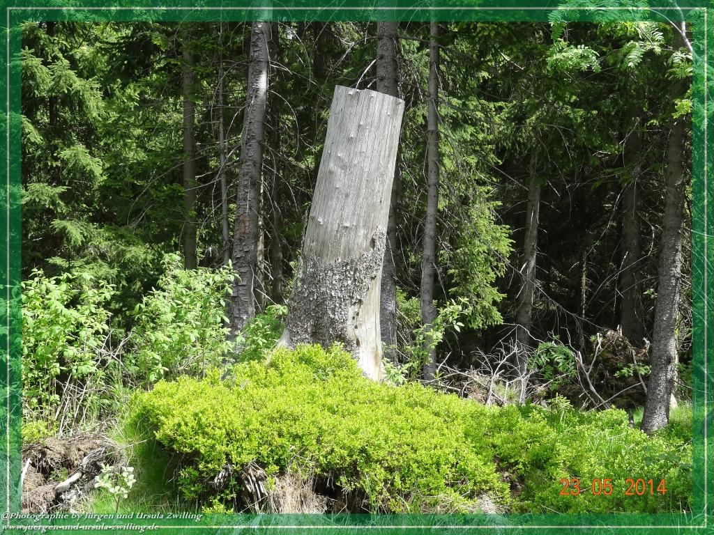 Philosophische Bildwanderung Brennes - Großer Arber - Kleiner Arber - Kleiner Arbersee – Mooshütte - Brennes - Bayerischer Wald