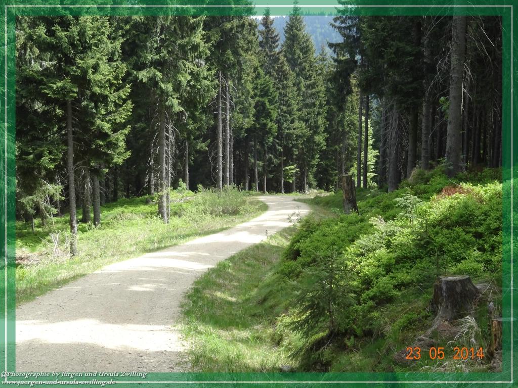 Philosophische Bildwanderung Brennes - Großer Arber - Kleiner Arber - Kleiner Arbersee – Mooshütte - Brennes - Bayerischer Wald