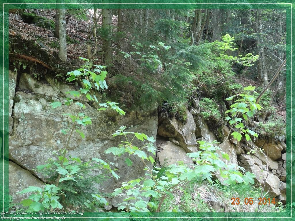 Philosophische Bildwanderung Brennes - Großer Arber - Kleiner Arber - Kleiner Arbersee – Mooshütte - Brennes - Bayerischer Wald