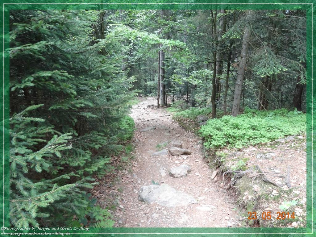 Philosophische Bildwanderung Brennes - Großer Arber - Kleiner Arber - Kleiner Arbersee – Mooshütte - Brennes - Bayerischer Wald