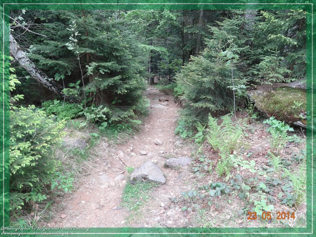 Philosophische Bildwanderung Brennes - Großer Arber - Kleiner Arber - Kleiner Arbersee – Mooshütte - Brennes - Bayerischer Wald