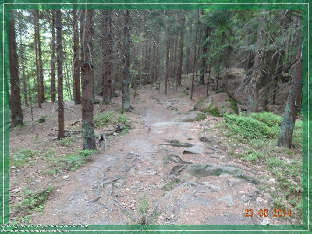 Philosophische Bildwanderung Brennes - Großer Arber - Kleiner Arber - Kleiner Arbersee – Mooshütte - Brennes - Bayerischer Wald