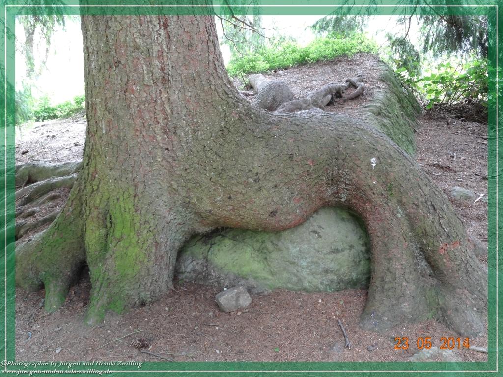 Philosophische Bildwanderung Brennes - Großer Arber - Kleiner Arber - Kleiner Arbersee – Mooshütte - Brennes - Bayerischer Wald