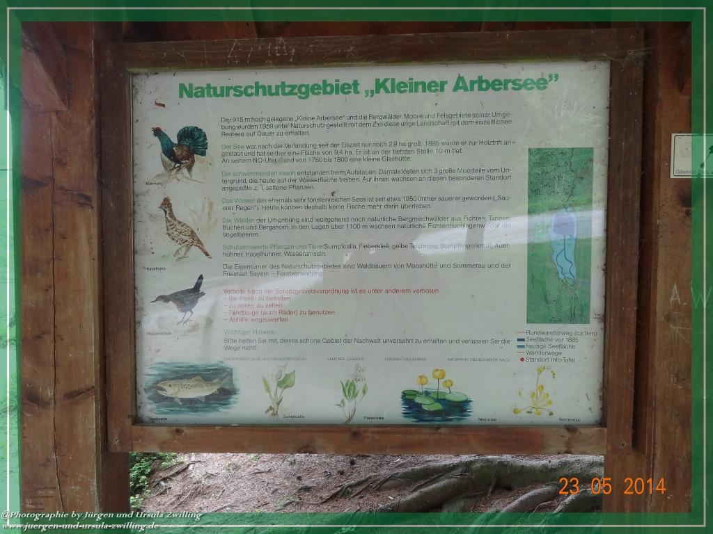 Philosophische Bildwanderung Brennes - Großer Arber - Kleiner Arber - Kleiner Arbersee – Mooshütte - Brennes - Bayerischer Wald
