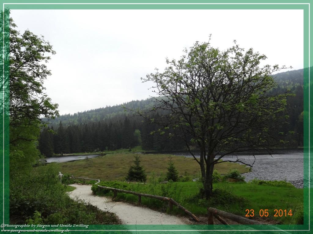 Philosophische Bildwanderung Brennes - Großer Arber - Kleiner Arber - Kleiner Arbersee – Mooshütte - Brennes - Bayerischer Wald