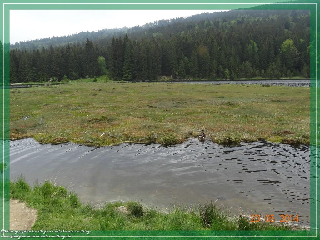 Philosophische Bildwanderung Brennes - Großer Arber - Kleiner Arber - Kleiner Arbersee – Mooshütte - Brennes - Bayerischer Wald