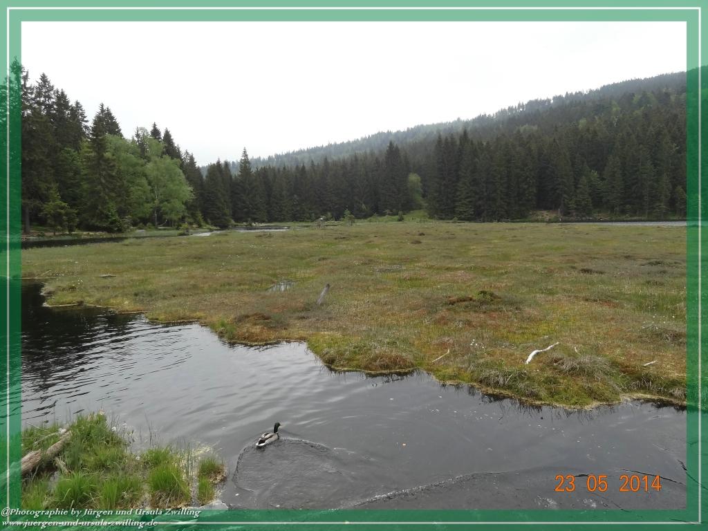 Philosophische Bildwanderung Brennes - Großer Arber - Kleiner Arber - Kleiner Arbersee – Mooshütte - Brennes - Bayerischer Wald