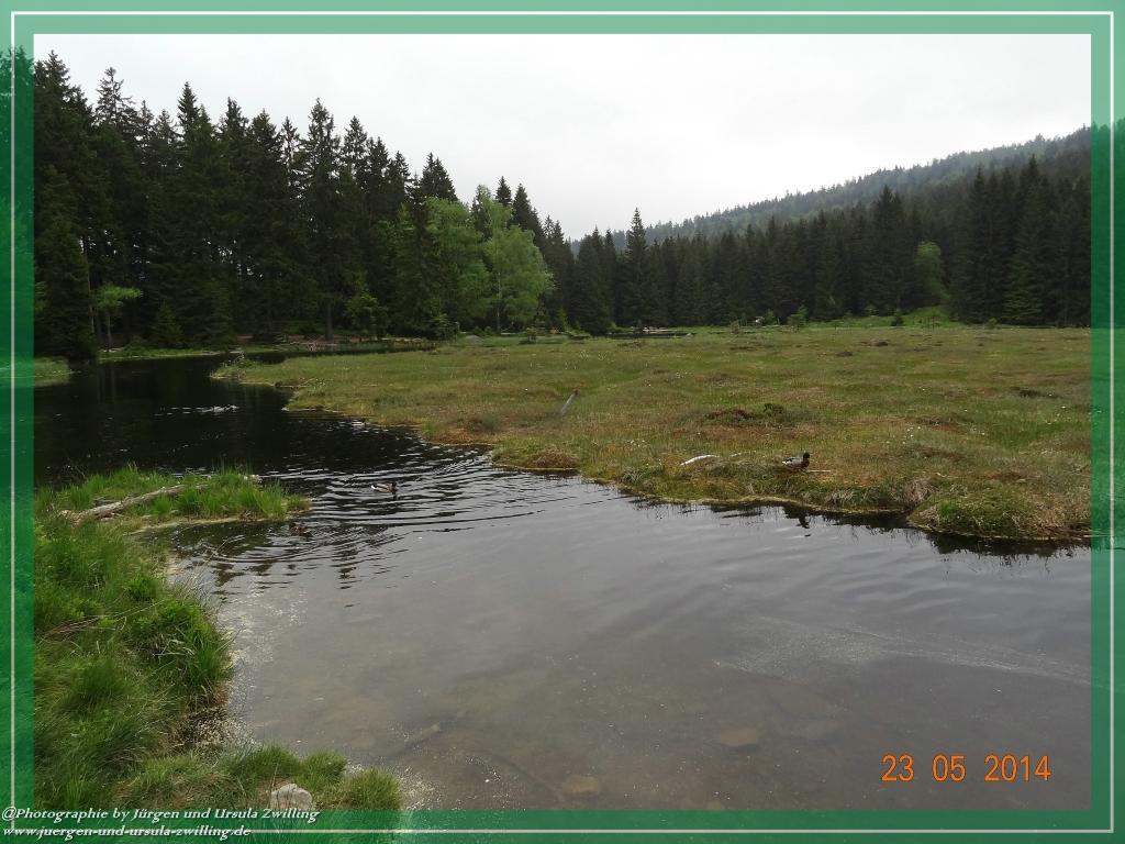 Philosophische Bildwanderung Brennes - Großer Arber - Kleiner Arber - Kleiner Arbersee – Mooshütte - Brennes - Bayerischer Wald