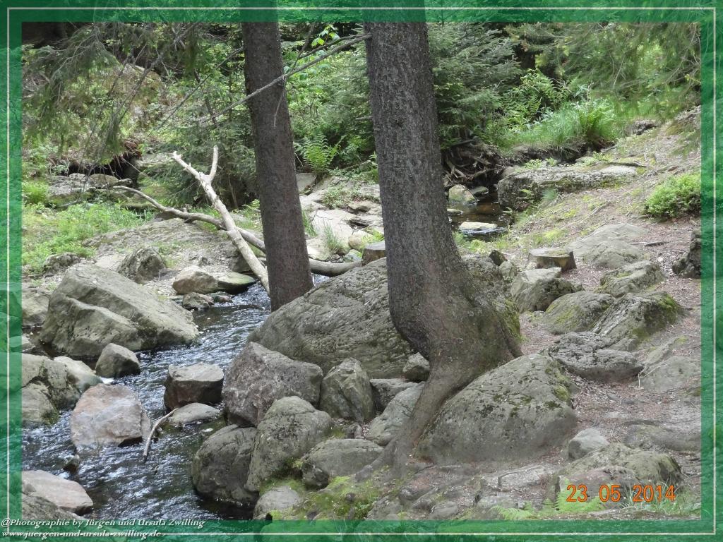 Philosophische Bildwanderung Brennes - Großer Arber - Kleiner Arber - Kleiner Arbersee – Mooshütte - Brennes - Bayerischer Wald