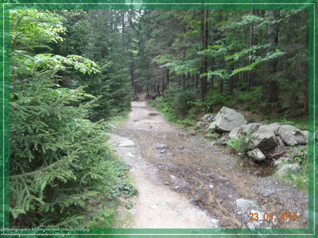 Philosophische Bildwanderung Brennes - Großer Arber - Kleiner Arber - Kleiner Arbersee – Mooshütte - Brennes - Bayerischer Wald