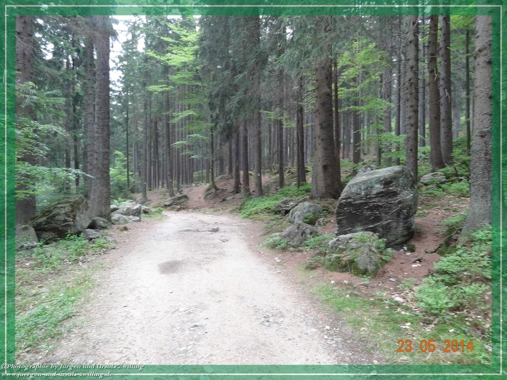 Philosophische Bildwanderung Brennes - Großer Arber - Kleiner Arber - Kleiner Arbersee – Mooshütte - Brennes - Bayerischer Wald