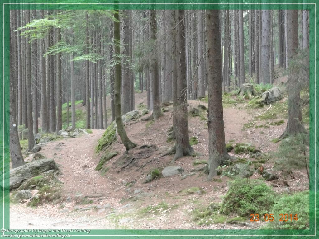 Philosophische Bildwanderung Brennes - Großer Arber - Kleiner Arber - Kleiner Arbersee – Mooshütte - Brennes - Bayerischer Wald