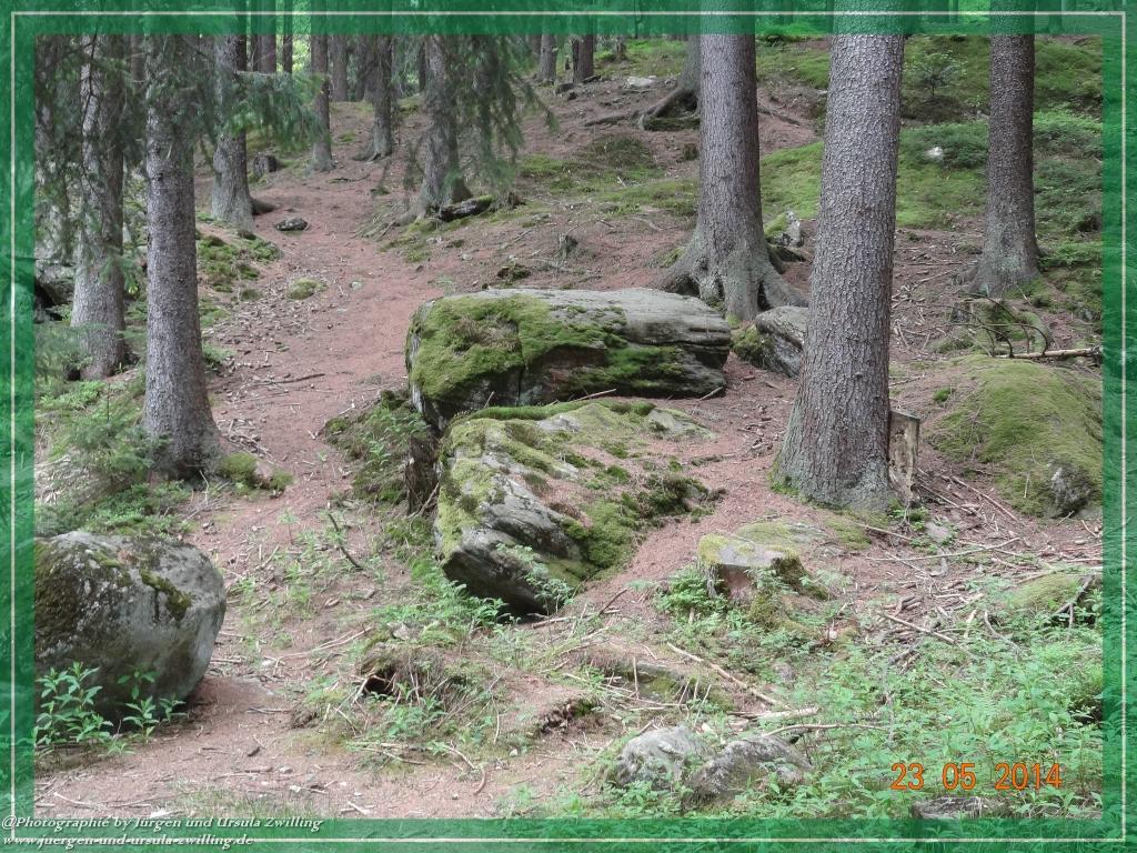 Philosophische Bildwanderung Brennes - Großer Arber - Kleiner Arber - Kleiner Arbersee – Mooshütte - Brennes - Bayerischer Wald