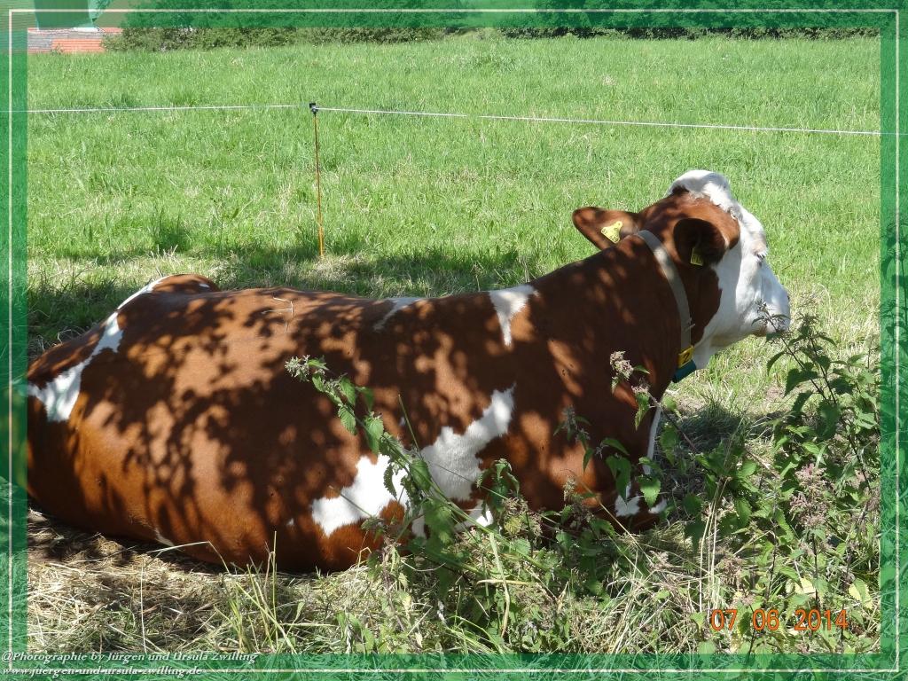 Philosophische Bildwanderung Gersprenztal-Runde - Panoramatour bei Reichelsheim - Odenwald