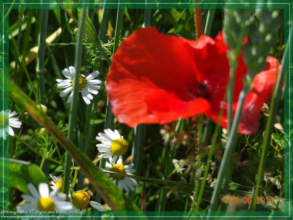 Philosophische Bildwanderung  Gersprenztal-Runde - Panoramatour bei Reichelsheim - Odenwald